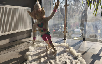  (photo)