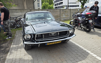  (photo)